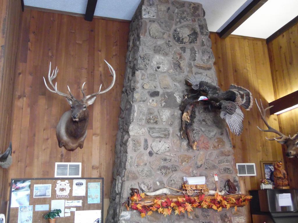 Bear Lodge Motel Sundance Eksteriør bilde