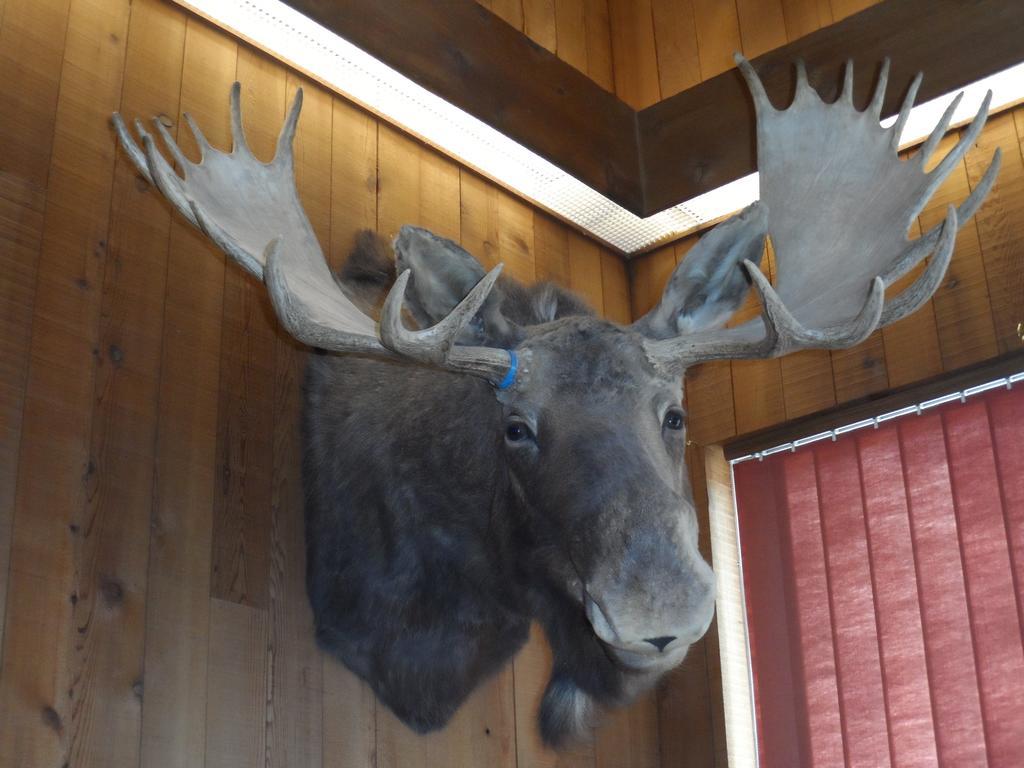 Bear Lodge Motel Sundance Eksteriør bilde