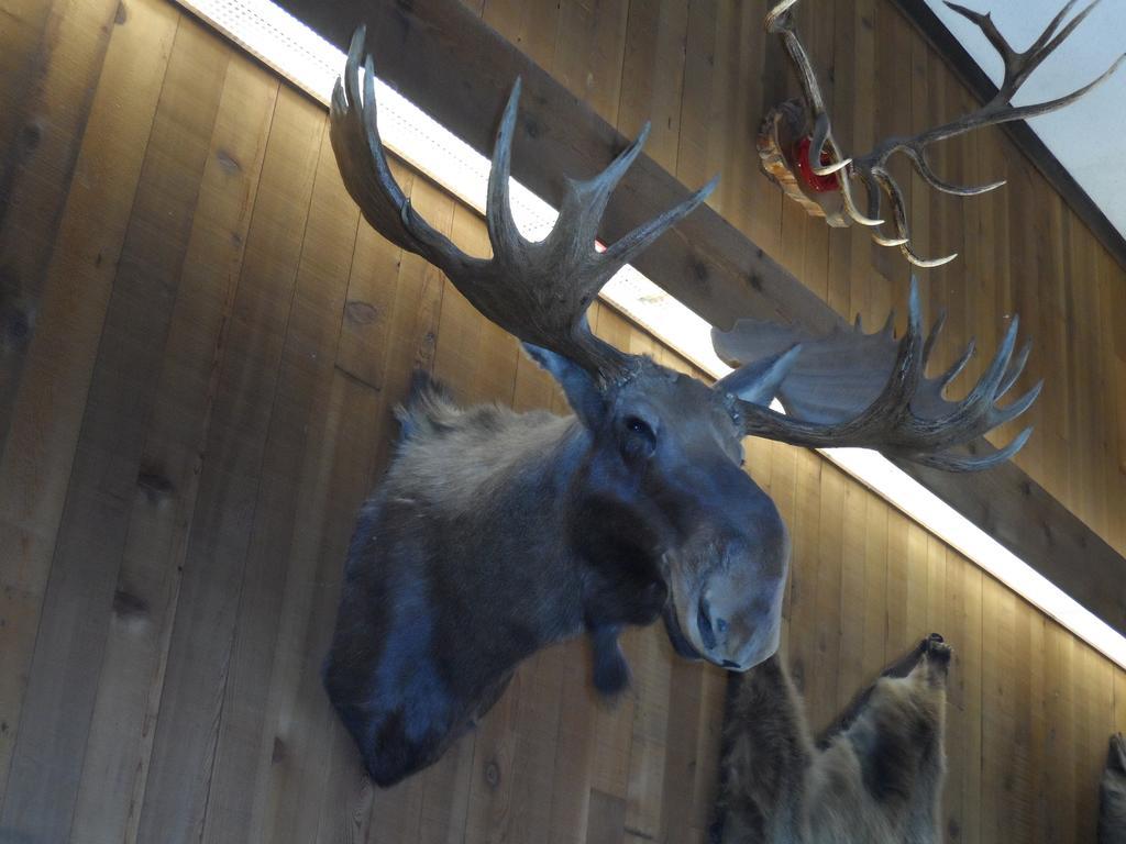 Bear Lodge Motel Sundance Eksteriør bilde
